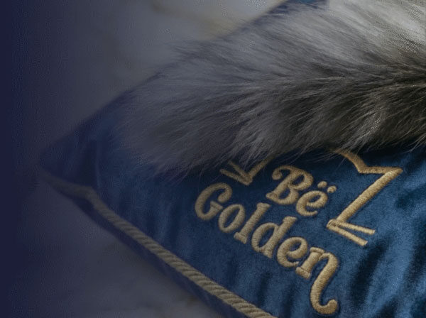 Arena-de-Gato-Be-Golden